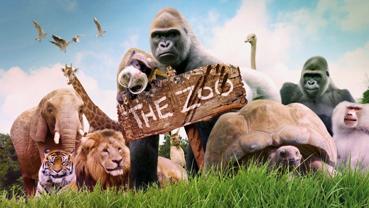 the zoo channel 4